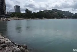 默默无闻：巴布亚新几内亚游泳选手勤勤恳恳的简单介绍